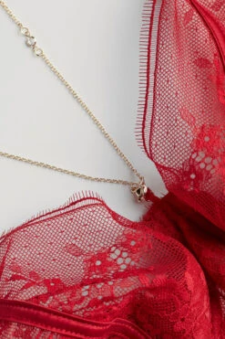 Luxury Treats Carioca Bra -INTIMISSIMI Sales RID24759888 D1