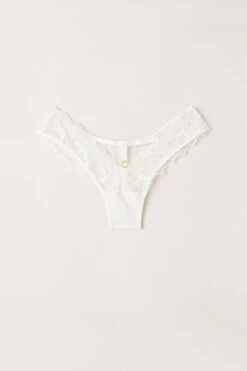 Fearless Femininity Brazilian Briefs 12 Fearless Femininity Brazilian Briefs -INTIMISSIMI Sales SBD24852127 F