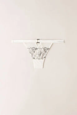 Pure Joy Brazilian Briefs -INTIMISSIMI Sales SBD24904718 F