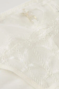 Pure Charme Panties 15 Pure Charme Panties -INTIMISSIMI Sales SID24882127 D1