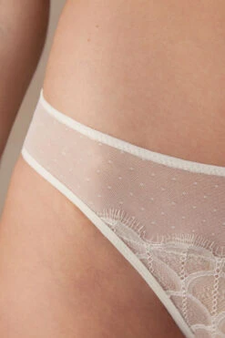 Pure Charme Panties 12 Pure Charme Panties -INTIMISSIMI Sales SID24882127 DT1W