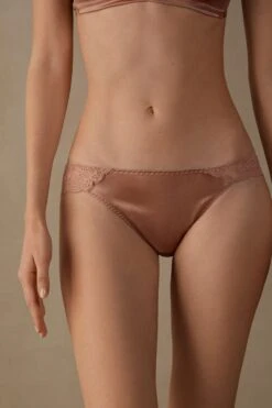 Silk And Lace Briefs