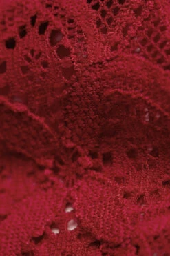 Low-Rise Lace Briefs -INTIMISSIMI Sales SID96P1473 D1